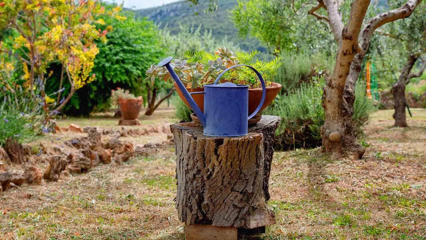 Maison de vacances pour 7 personnes, avec jardin, animaux acceptés - 1