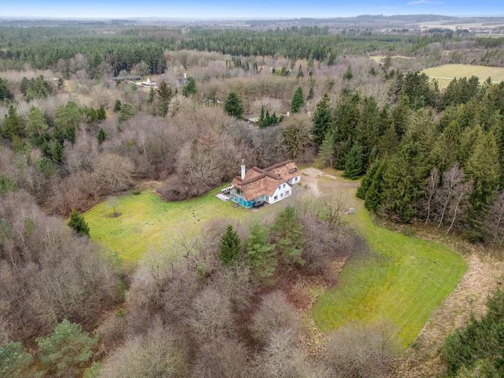 Large pool house for 20 people, on a large natural plot with associated forest area. in Herning Kommune