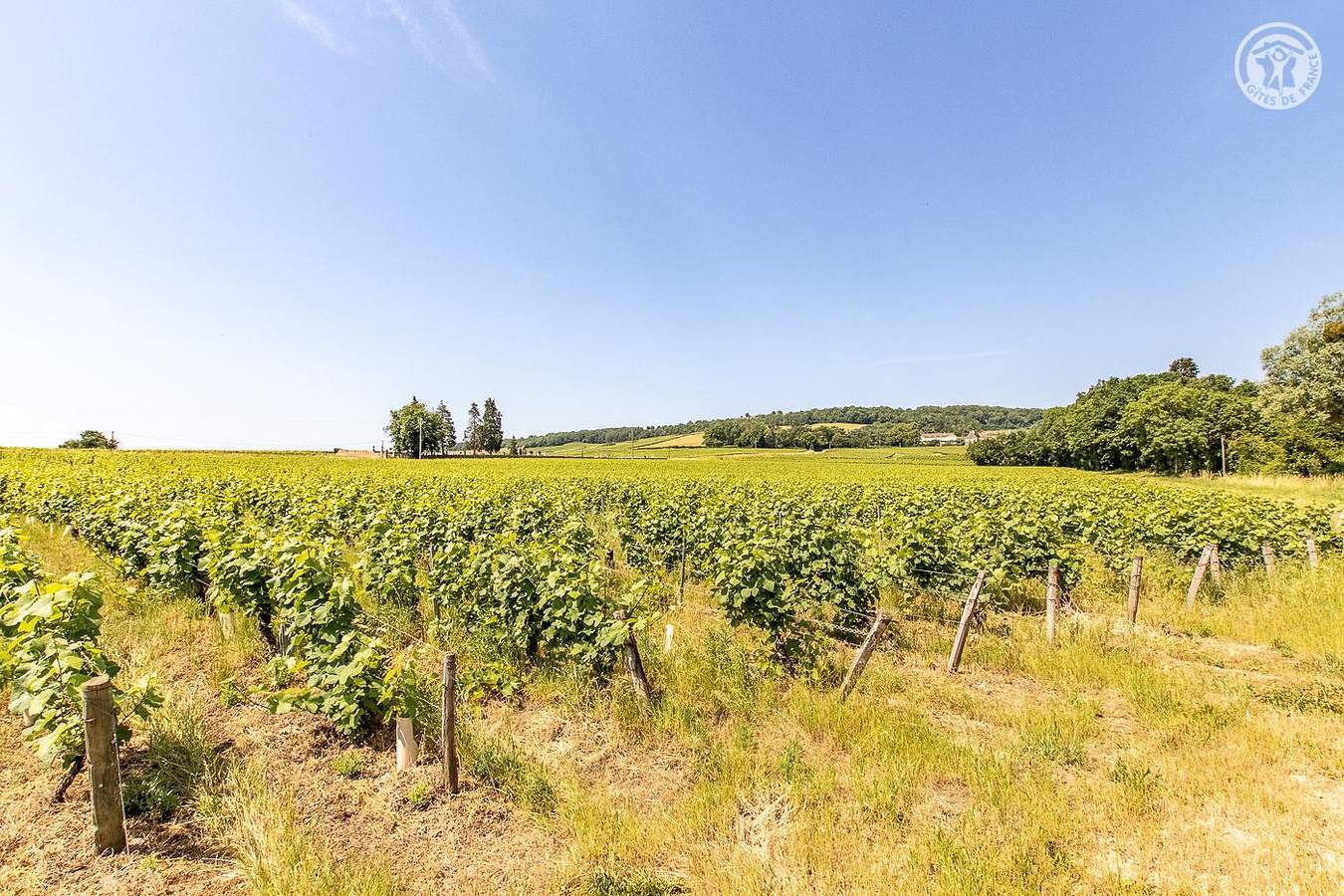 La Petite Boutière in Chenôves, Chalon-sur-Saône Området