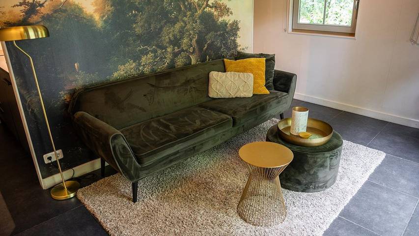 Ferienhaus für 3 Personen, mit Sauna und Garten in Gelderland - 2