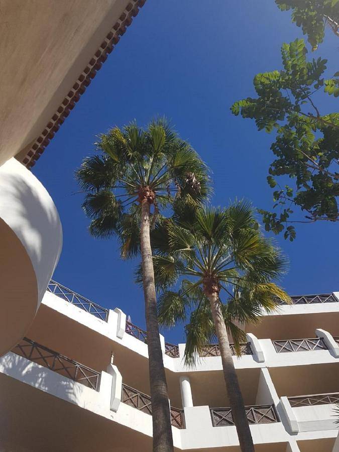 Tropical garden, sunshine, heated pool in Las Adelfas, San Miguel de Abona
