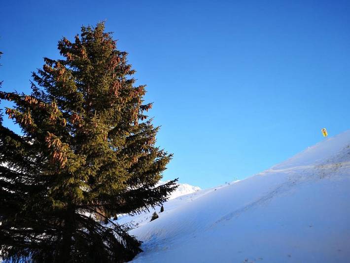 Gîte pour 3 personnes, avec terrasse à Bivio - 4
