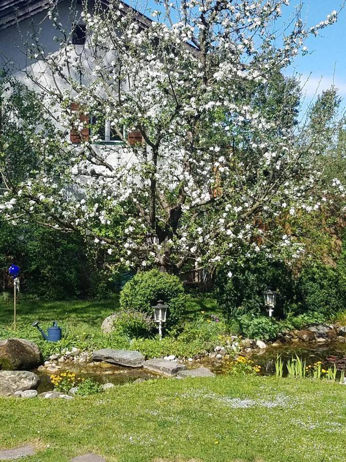 Ferienwohnung für 4 Personen, mit Terrasse und Ausblick in Ohlstadt - 2