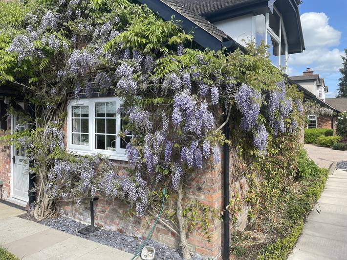 Gîte pour 6 personnes, avec jardin, animaux acceptés - 1
