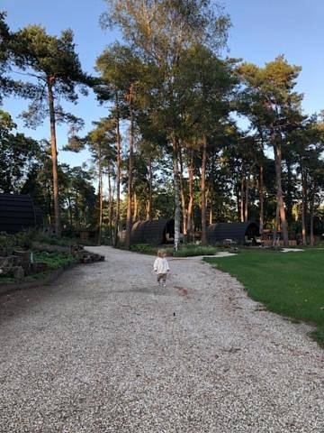 Gîte pour 2 personnes, avec jardin à Oisterwijk - 3