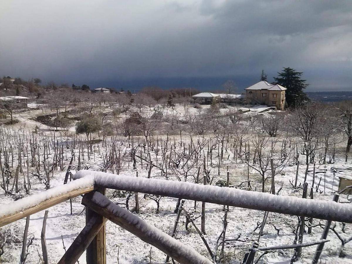 Villa Etna Masi' in Milo, Etna
