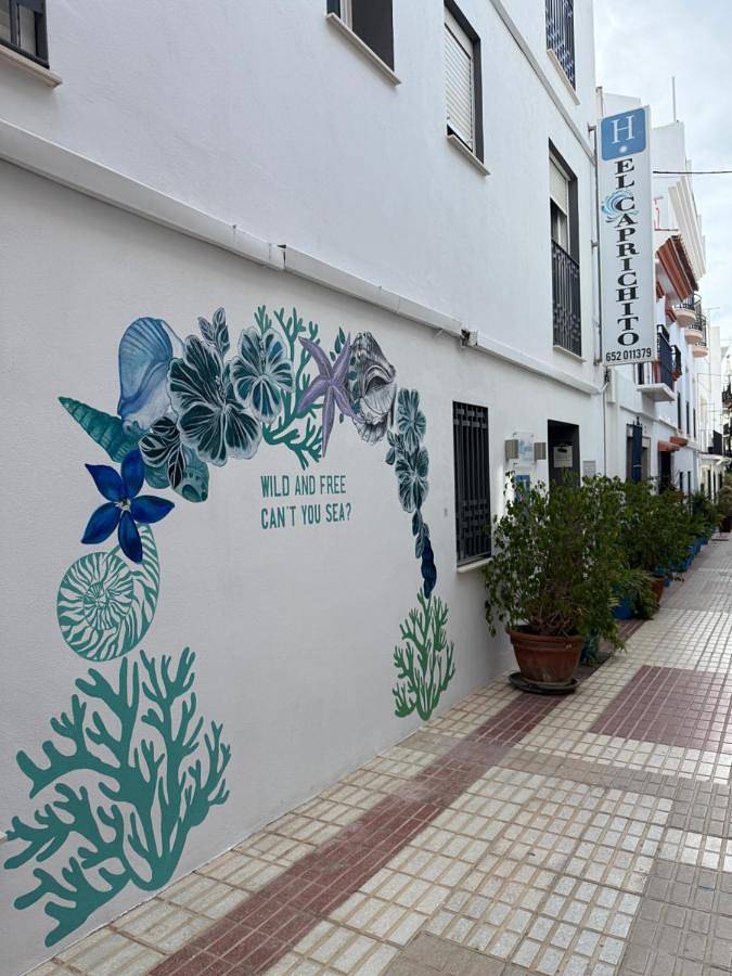 Hostal El Caprichito Marbella in Plaza de los Naranjos, Marbella