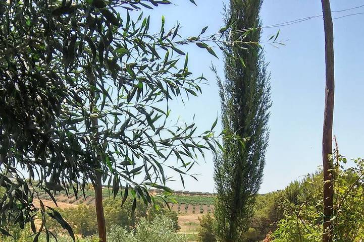 Agriturismo für 3 Personen, mit Garten auf Sizilien