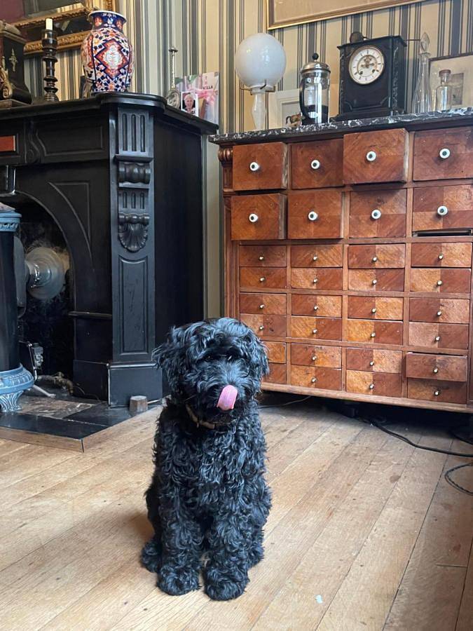 Chambre d’hôte pour 2 personnes à Liège - 4