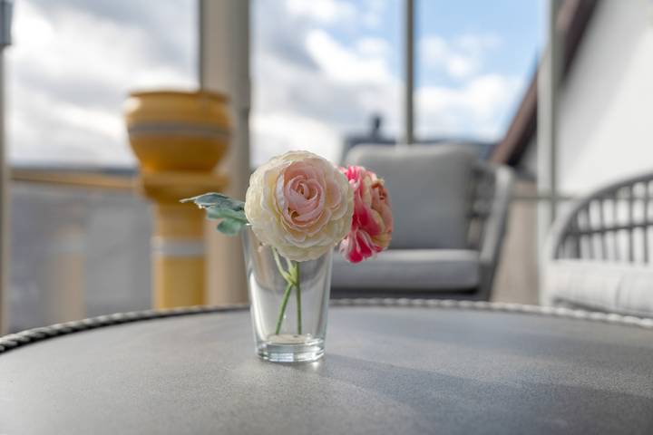 Ganze Wohnung, Ferienwohnung „vino y amor" mit Bergblick & Dachterrasse in Rheinau, Mittlerer Schwarzwald