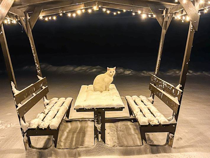 Ferienhaus für 9 Personen, mit Garten in Rubkow - 4