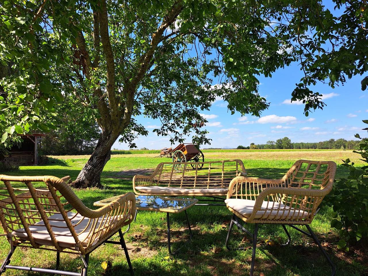 Studio entier, Gîte Les Hirondelles avec jacuzzi gratuit in Soings-en-Sologne, Sologne