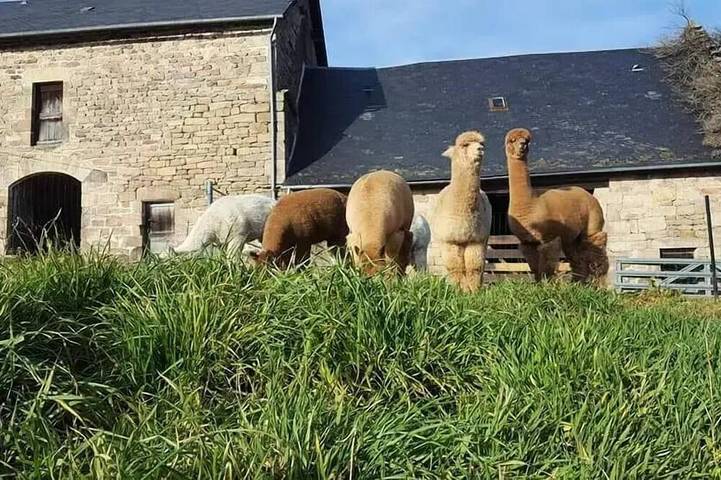Location de vacances pour 12 personnes à Chaumeil