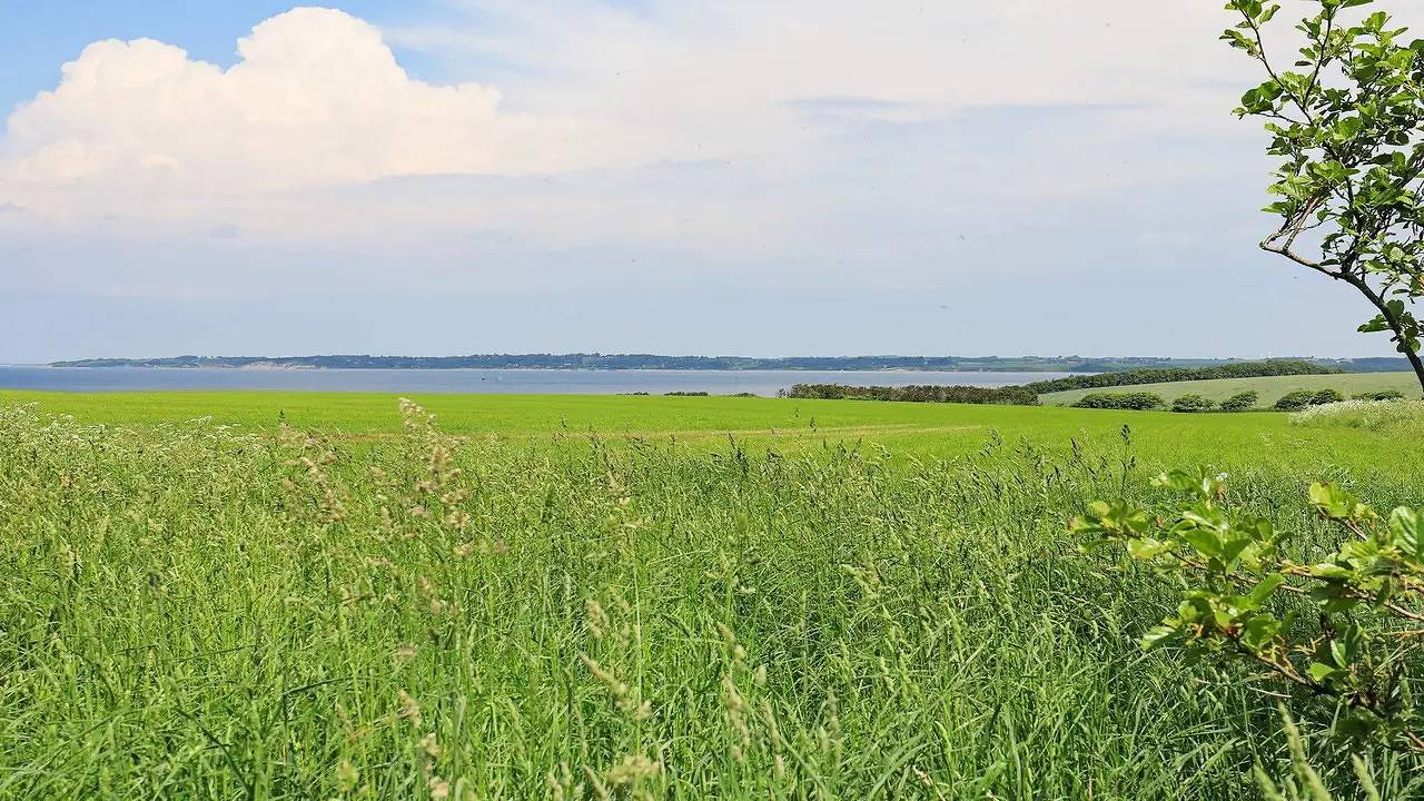 Ferienhaus für 20 Personen (285 m²) in Vinderup in Ejsingholm, Limfjord w zachodniej Jutlandii