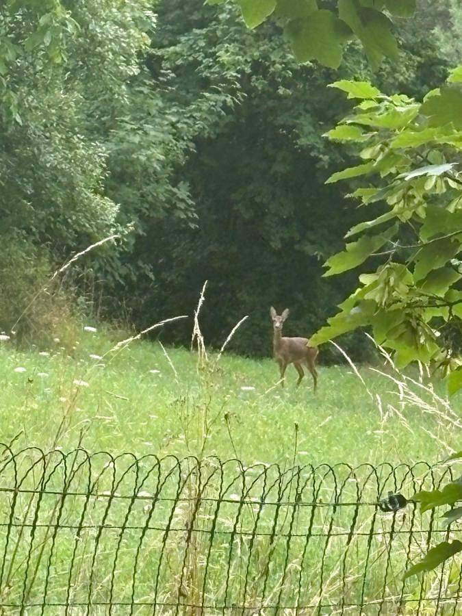 Au seuil de la Forêt Nature & Spa in Weinbourg, Région de Saverne