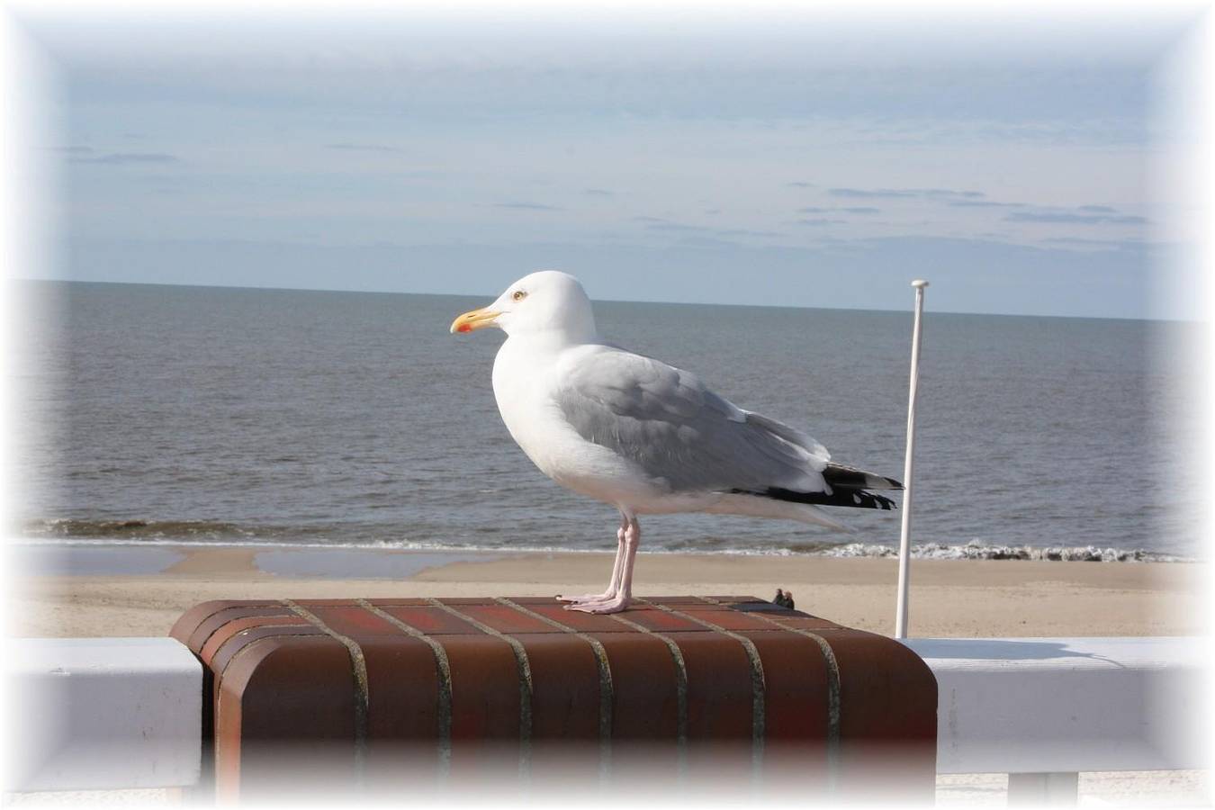 Ganze Ferienwohnung, Haus Wattenblick in Sylt-Ost, Sylt (Gemeinde)