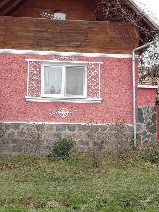 Chambre d’hôte pour 2 personnes, avec jardin et terrasse, animaux acceptés en Roumanie - 2