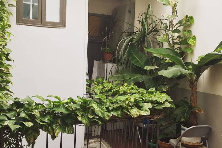 Holiday rental for 6 people, with pets in Marseille