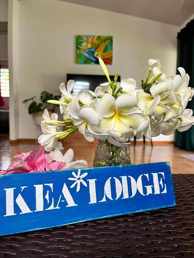 Location de vacances pour 8 personnes, avec vue et jardin dans Papara - 2