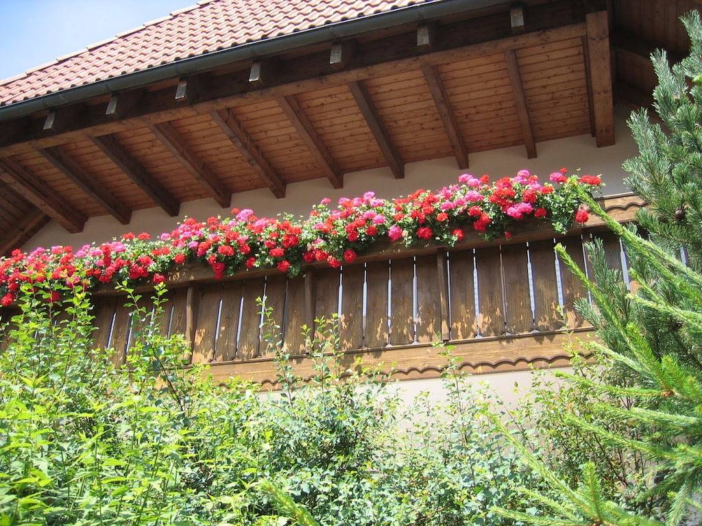 Haus Sattler, Nichtraucher in Grafenhausen, Südschwarzwald