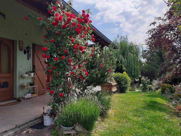 Gîte pour 8 personnes, avec balcon et jardin dans le Haut-Rhin - 3