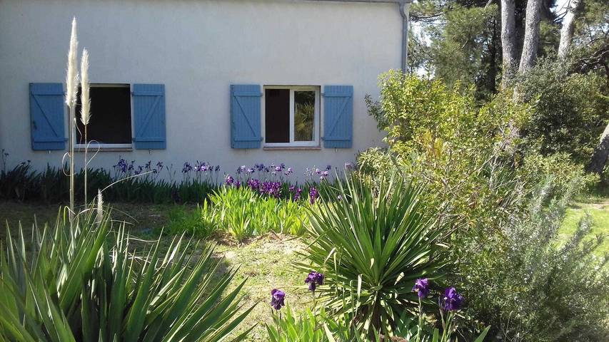 Gîte für 9 Personen, mit Pool und Garten in Languedoc-Roussillon - 4