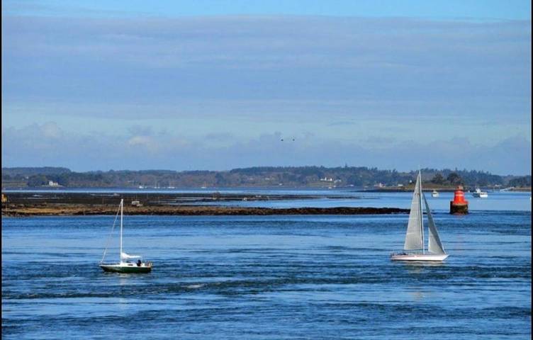 Location de vacances pour 10 personnes, avec terrasse et jardin, animaux acceptés à Saint-Avé - 2