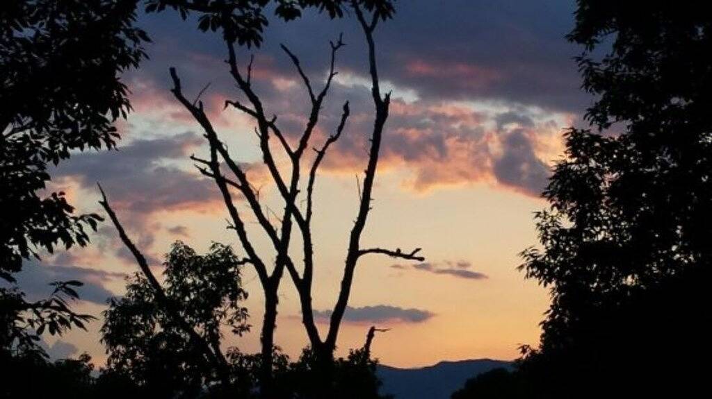 Shooting Star Ridge: A cozy 2-bedroom cabin in Whittier, Nc in Qualla, Jackson County