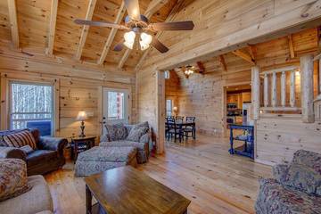 Log Cabin for 12 Guests in Blue Ridge Mountains, North Carolina, Picture 3
