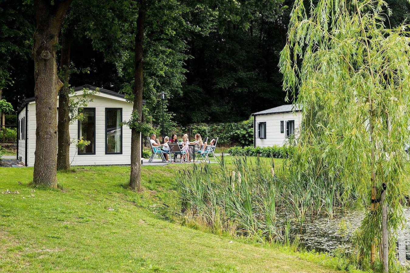 Bospark Ede — Holiday home 5 personen in Ede, Hoge Veluwe