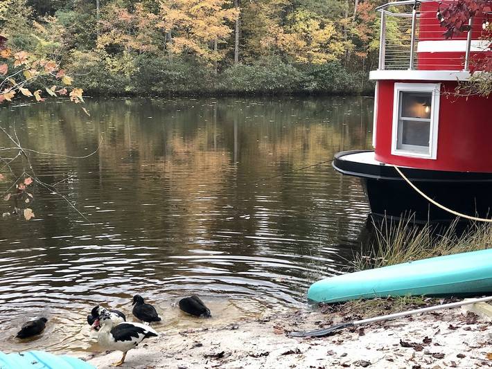 Tugboat/Private Lake - Farm Animals - Fish, Swim, Boat, Hike/Bike 5+Miles Trails in Louisa County