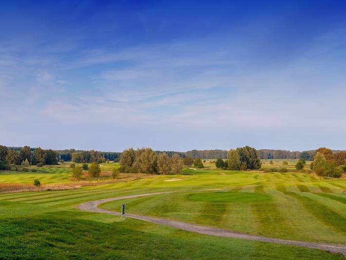 Ferienhaus für 7 Personen, mit Sauna und Terrasse sowie Garten, kinderfreundlich in Göhren-Lebbin - 4