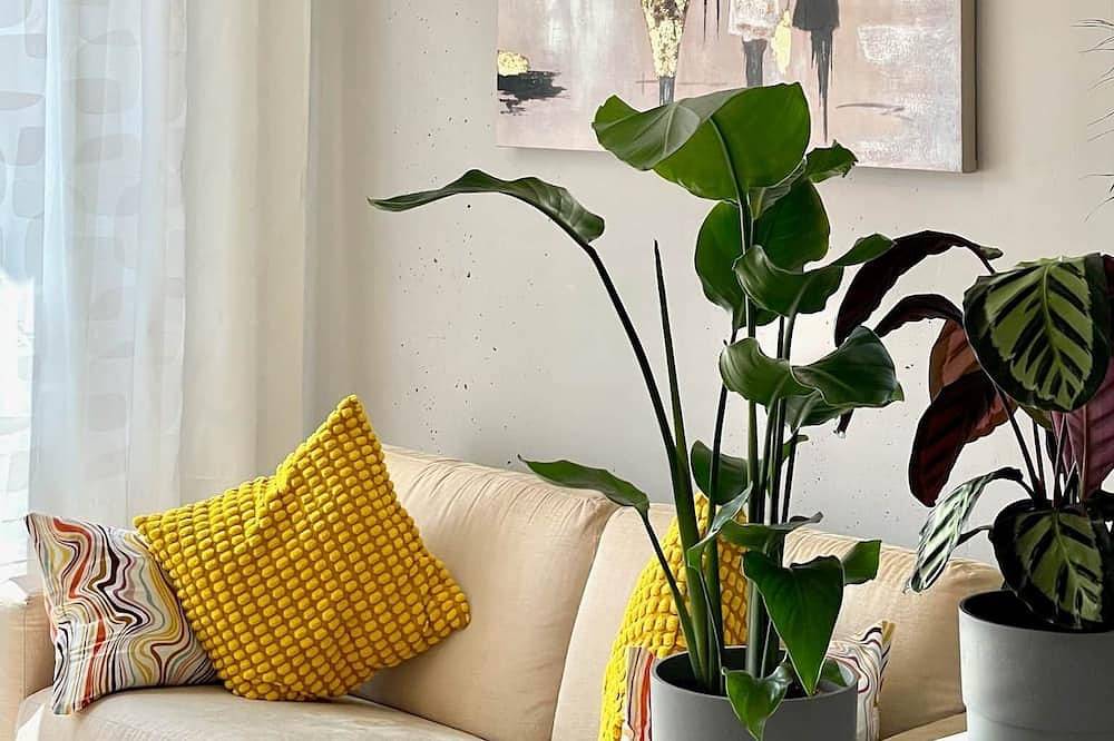 Appartement entier, Pretty City - Tiny Apartment Bamberg in Bamberg, Région viticole de Franconie