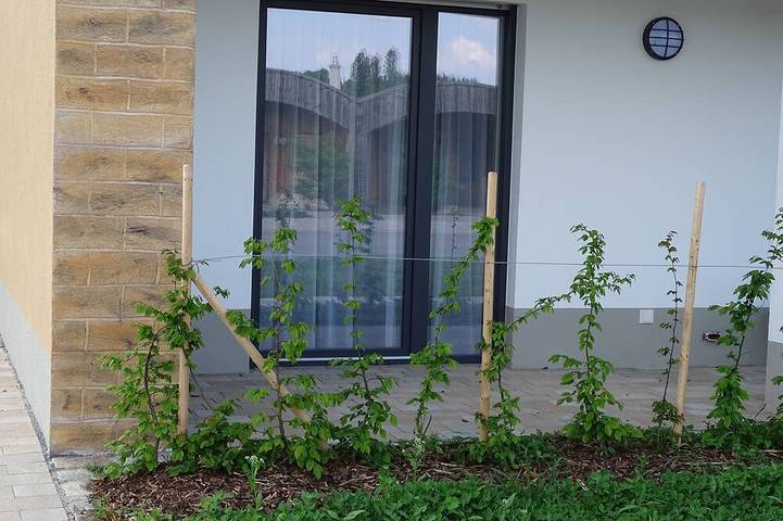 Ferienhaus für 3 Personen, mit Terrasse - 1