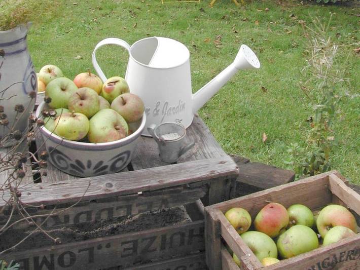 Location de vacances pour 5 personnes, avec vue et jardin à Momignies - 4