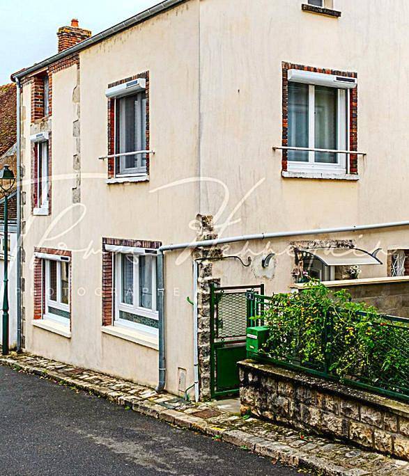 Location de vacances pour 8 personnes, avec terrasse et jardin à Ouzouer-sur-Trézée - 2