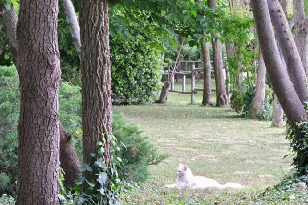 Entire apartment, Apartment on the ground floor of an old private farmhouse from the 1700s in Castiglione del Lago, Lake Trasimeno