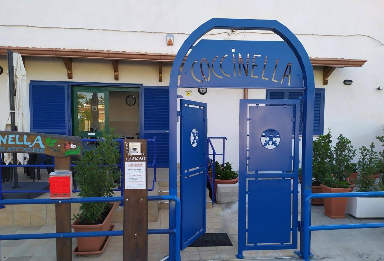 Coccinella in Sabaudia, Agro Pontino