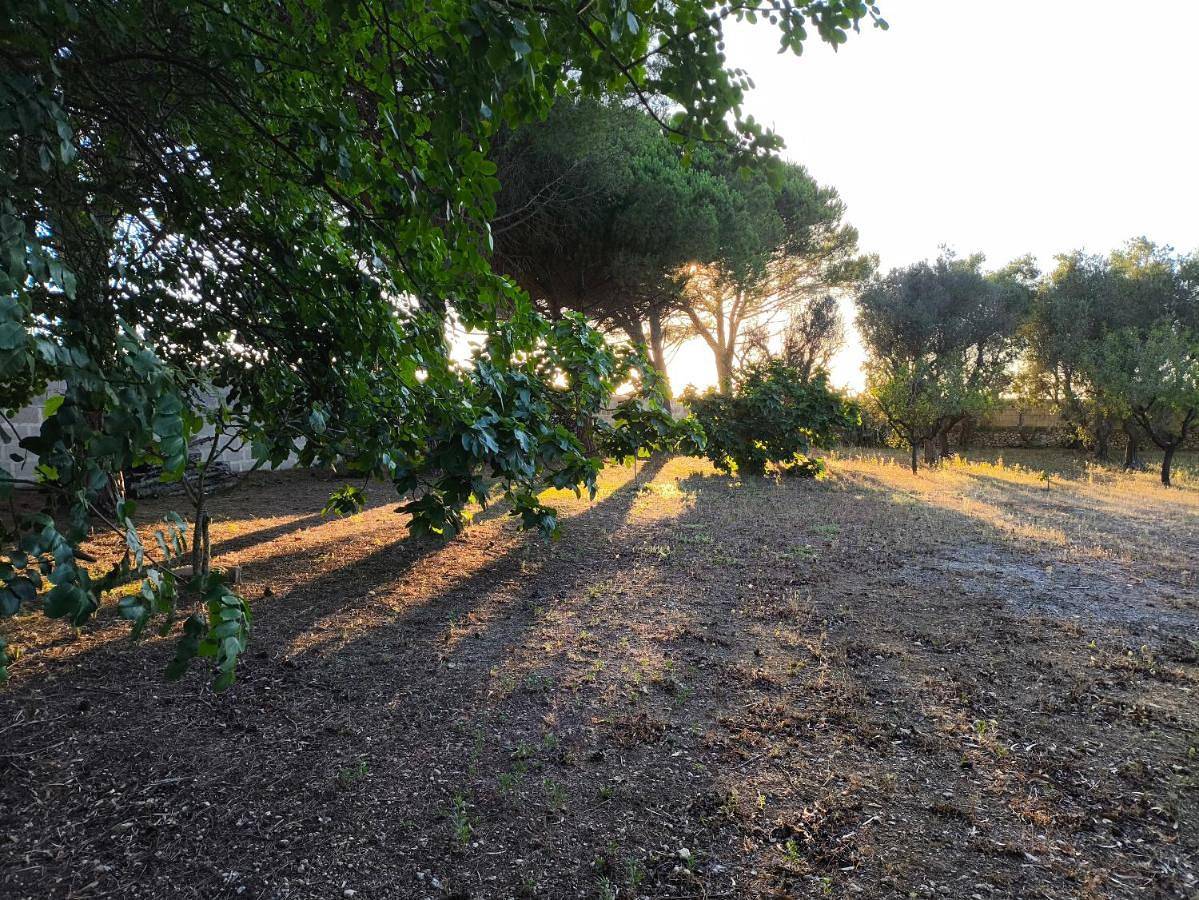 Casa dei Nonni by Briciole di Gusto - 3000mq di relax in giardino a 1500m dal mare in Lecce, Provincia di Lecce