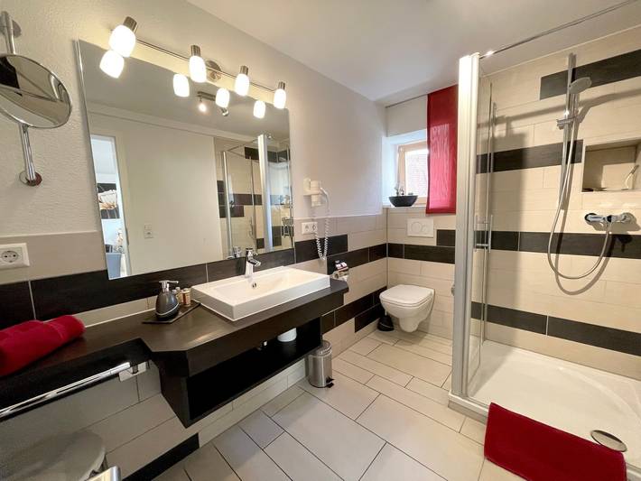 Hel lejlighed, Apartment Am Schloss with Private Terrace and Wi-Fi in Sigmaringen, Region Bodensee-Oberschwaben