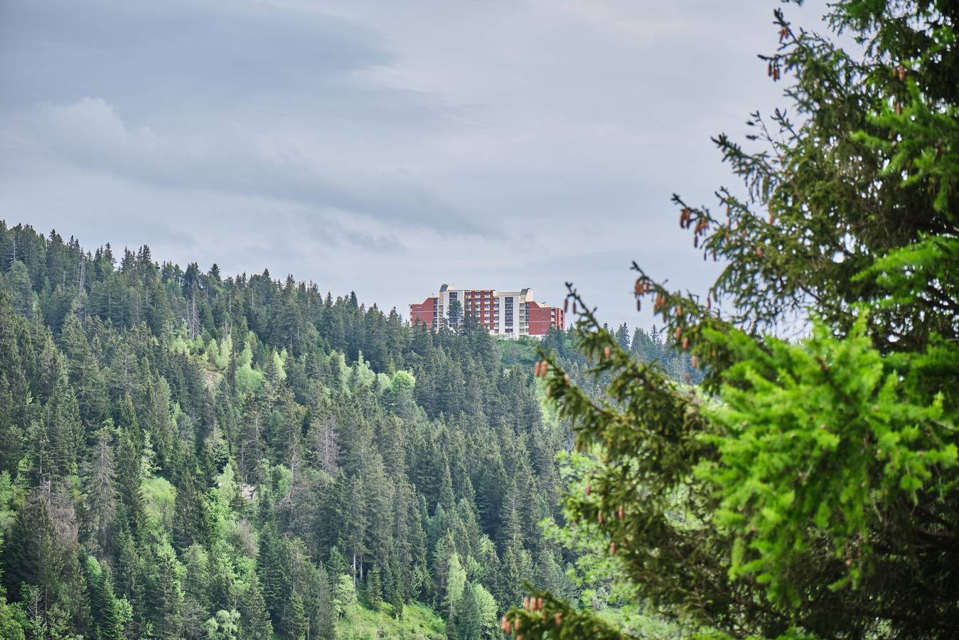 Appartement entier, Appartement "Eterlou 101" avec vue sur les montagnes, jardin partagé et Wi-Fi in Chamrousse, Parc national des Écrins