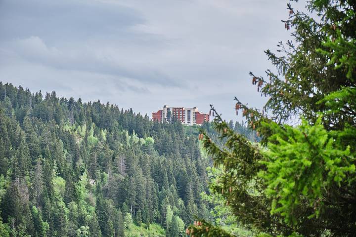 Gîte pour 5 personnes, avec balcon et jardin à Chamrousse - 4