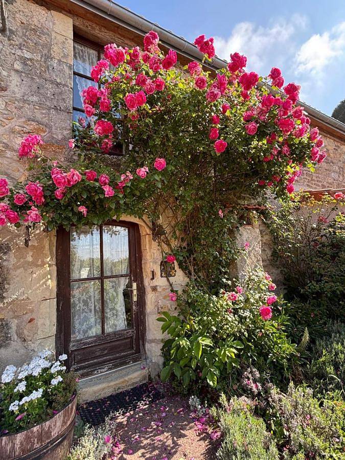 Gîte pour 7 personnes, avec jardin et piscine, animaux acceptés à Les Verchers-sur-Layon