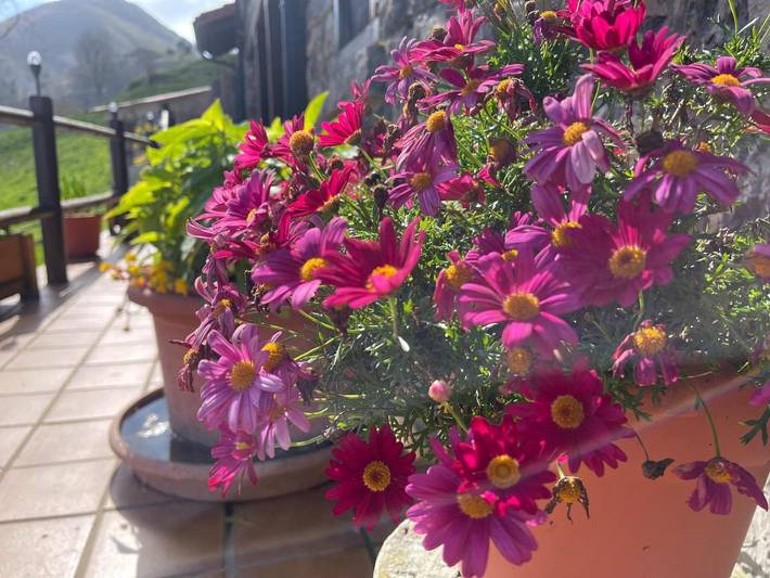 Casa rural para 10 personas, con vistas y balcón en Piloña - 2