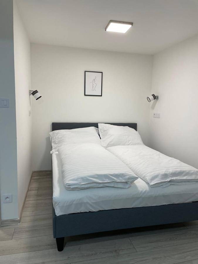Ferienwohnung für 5 Personen, mit Ausblick, mit Haustier in Cheb - 2