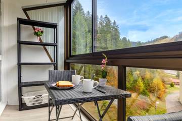 Appartement de vacances pour 4 personnes, avec balcon, animaux acceptés dans les Vosges