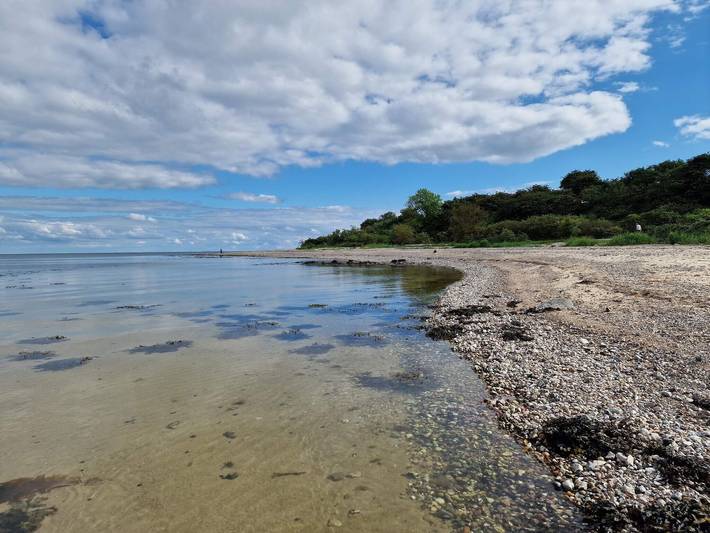 Ferienhaus für 4 Personen, mit Garten und Terrasse, mit Haustier in Flovt Strand - 3