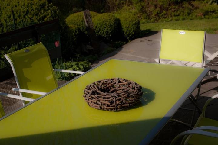 Chambre d’hôte pour 2 personnes, avec jardin dans la Région d'Audenarde - 4