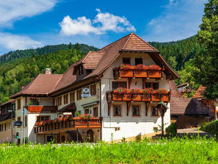 Hotel für 2 Personen, mit Terrasse und Balkon/Terrasse in Simonswald - 2