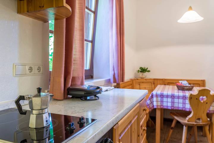 Entire studio, Holiday Studio 'Sallrain Hof Monolokal 4' with Shared Garden in Klobenstein, Ritten